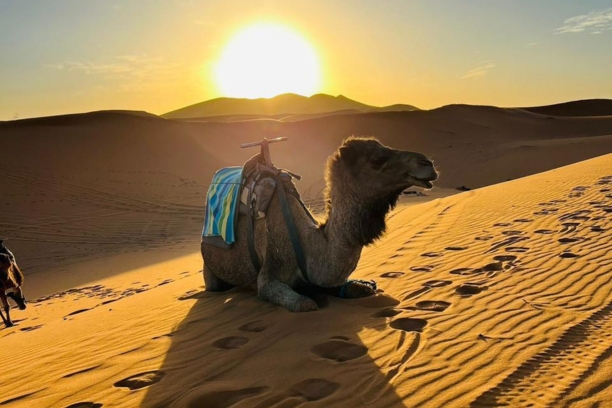 1 Week Morocco itinerary, Morocco desert tour 7 days, Travelling to Morocco, 7 Days Trip to Sahara Desert from Tanger, Atlas Mountains.