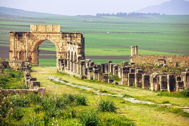 Fes to Volubilis Meknes day trip